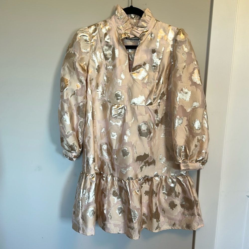 TUCKERNUCK Champagne Fil Coupe Palmerston Dress XS